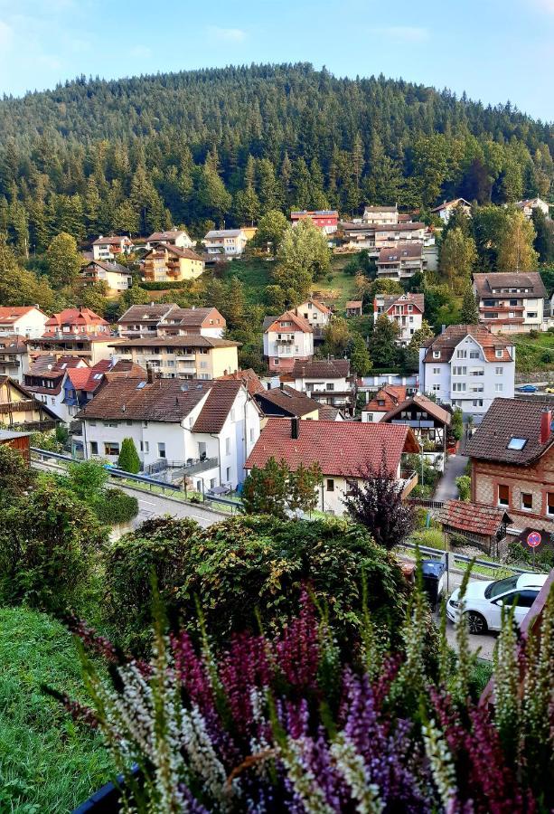Fewo Sehl Appartement Bad Wildbad Buitenkant foto